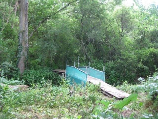  马恩河谷气枪人行桥 